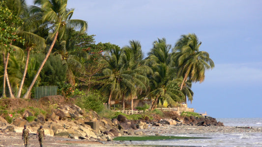 Beach scene, Libreville