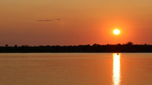 sunset, zambia, zambezi