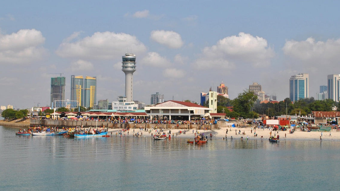 tanzania, dar es salaam, city