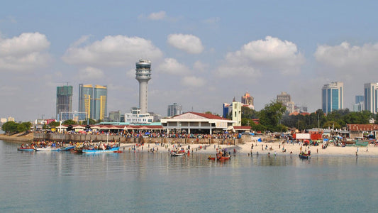 tanzania, dar es salaam, city