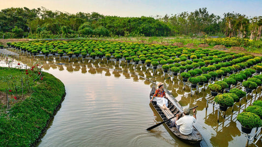 vietnam esim urlaubsort