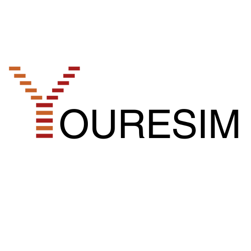 Our logo as transparent word of an esim shop for travelers who need roaming 
